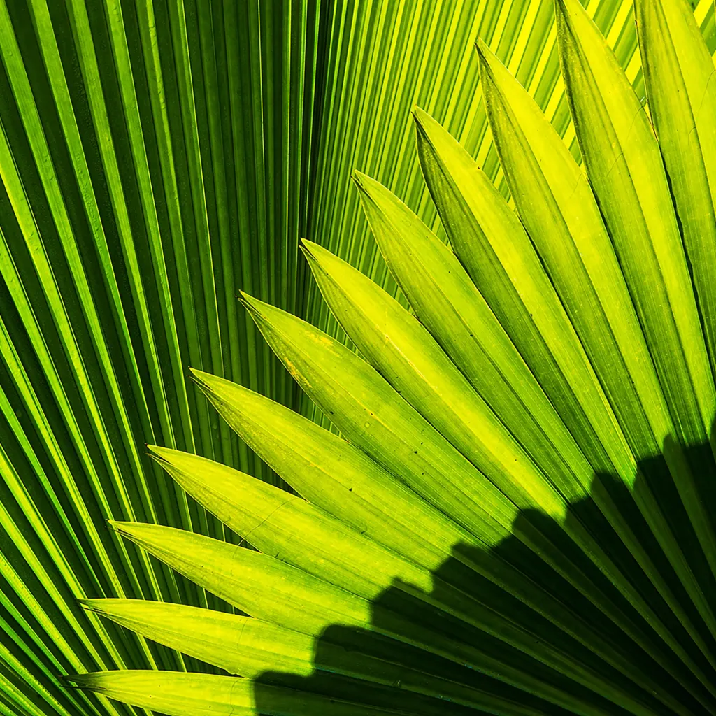 Portada Galería Flora
